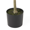 20CM Artificial Olive Tree – Realistic Pre-Potted Evergreen for Home Décor & Indoor Greenery