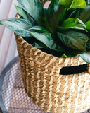 Natural palm leaf baskets for bathroom, pantry, or kitchen