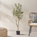 Decorative indoor olive tree for modern home décor