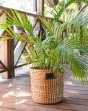 Handwoven storage baskets for living room