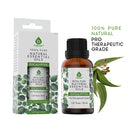 Natural eucalyptus essential oil for sinus relief and massage