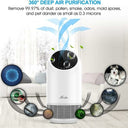 True HEPA Air Purifier – 360° Deep Purification, Ultra-Quiet Operation for Home & Office